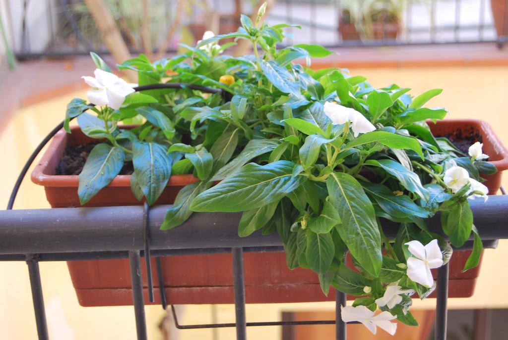 سيراكوزا Apartment Casa Francesca المظهر الخارجي الصورة