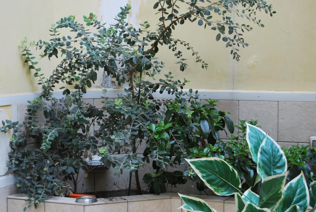 سيراكوزا Apartment Casa Francesca المظهر الخارجي الصورة